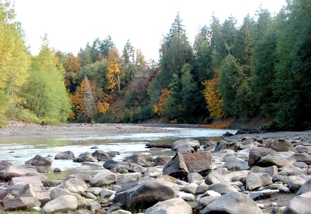 Toutle River